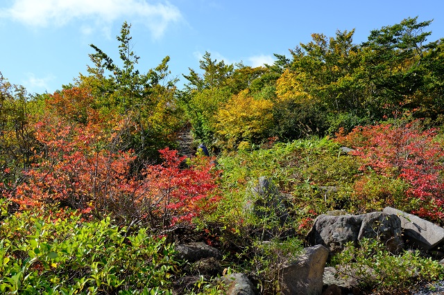 栗駒山の紅葉の写真