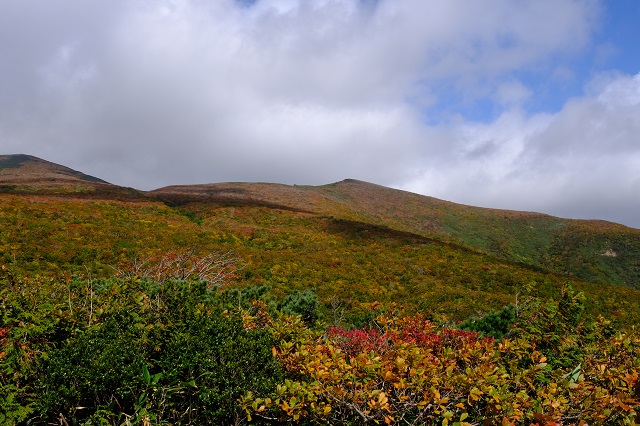 栗駒山の紅葉の写真