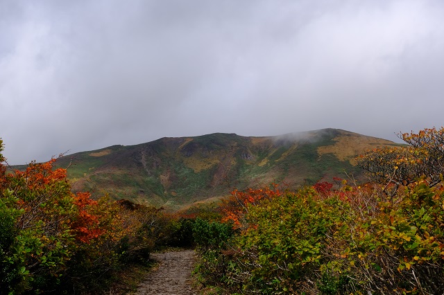 栗駒山の紅葉の写真