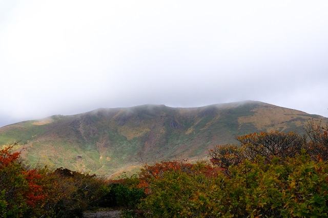 栗駒山の紅葉の写真