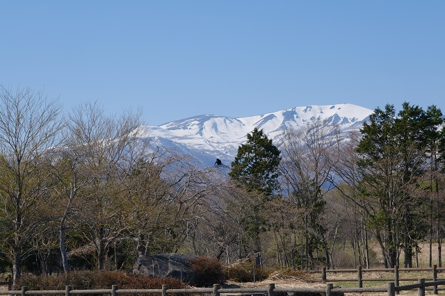 深山牧野の風景写真