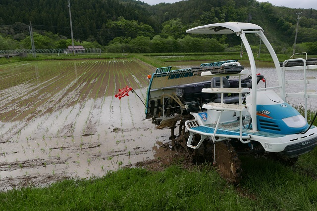 ひとめぼれの栽培工程写真