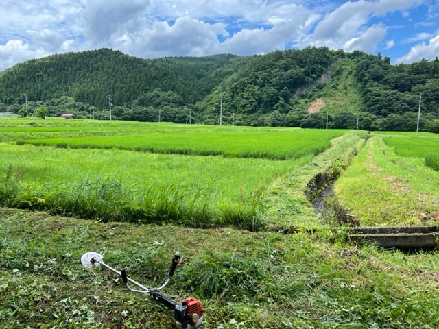 草刈りの風景写真