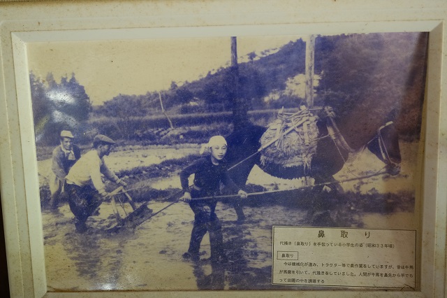 鼻取りの昔の写真