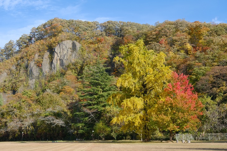 文字小学校跡地の紅葉