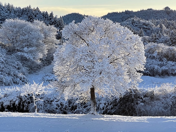 文字の冬の風景写真