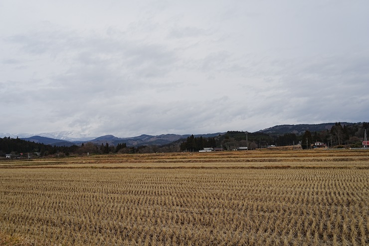 文字の正月の風景写真