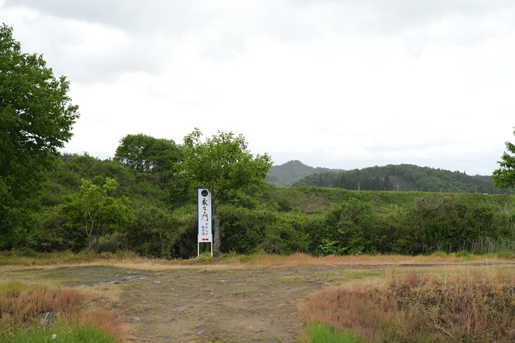 せせらぎ散歩道