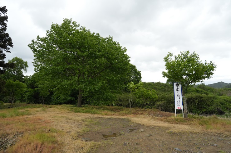 せせらぎ散歩道