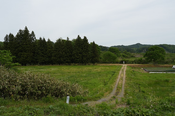 せせらぎ散歩道